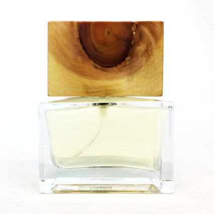 CEMBRA EdP